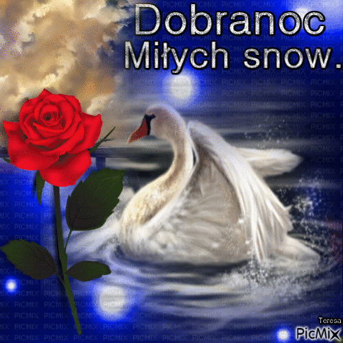 Pływający łabędź życzy miłych snów